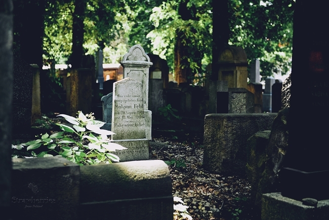Cmentarz żydowski - stare macewy, spacery i zieleń